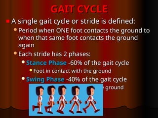 GAIT CYCLE
GAIT CYCLE
A single gait cycle or stride is defined:
A single gait cycle or stride is defined:
Period when ONE foot contacts the ground to
Period when ONE foot contacts the ground to
when that same foot contacts the ground
when that same foot contacts the ground
again
again
Each stride has 2 phases:
Each stride has 2 phases:
Stance Phase
Stance Phase -60% of the gait cycle
-60% of the gait cycle
Foot in contact with the ground
Foot in contact with the ground
Swing Phase
Swing Phase -40% of the gait cycle
-40% of the gait cycle
Foot NOT in contact with the ground
Foot NOT in contact with the ground
 
