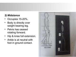 3) Midstance
• Occupies 15-20%.
• Body is directly over
weight bearing leg.
• Pelvis has ceased
rotating forward.
• Hip & knee full extension.
• Ankle is at neutral with
foot in ground contact.
 