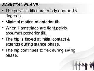 SAGITTAL PLANE:
• The pelvis is tilted anteriorly approx.15
degrees.
• Minimal motion of anterior tilt.
• When Hamstrings are tight,pelvis
assumes posterior tilt.
• The hip is flexed at initial contact &
extends during stance phase.
• The hip continues to flex during swing
phase.
 