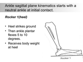 Ankle sagittal plane kinematics starts with a
neutral ankle at initial contact.
Rocker 1(heel)
• Heel strikes ground
• Then ankle plantar
flexes 5 to 10
degrees.
• Receives body weight
at heel
 