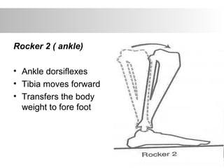 Rocker 2 ( ankle)
• Ankle dorsiflexes
• Tibia moves forward
• Transfers the body
weight to fore foot
 