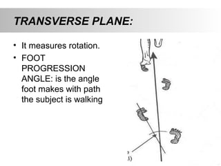 TRANSVERSE PLANE:
• It measures rotation.
• FOOT
PROGRESSION
ANGLE: is the angle
foot makes with path
the subject is walking
 