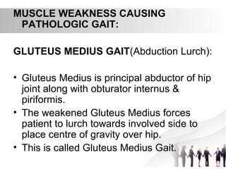 MUSCLE WEAKNESS CAUSING
PATHOLOGIC GAIT:
GLUTEUS MEDIUS GAIT(Abduction Lurch):
• Gluteus Medius is principal abductor of hip
joint along with obturator internus &
piriformis.
• The weakened Gluteus Medius forces
patient to lurch towards involved side to
place centre of gravity over hip.
• This is called Gluteus Medius Gait.
 