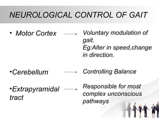 NEUROLOGICAL CONTROL OF GAIT
• Motor Cortex Voluntary modulation of
gait.
Eg:Alter in speed,change
in direction.
•Cerebellum
•Extrapyramidal
tract
Controlling Balance
Responsible for most
complex unconscious
pathways
 