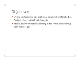 Objectives
 Define the terms for gait analysis as described by Rancho Los
  Amigos Observational Gait Analysis
 Briefly describe what is happening in the lower limbs during
  each phase of gait
 