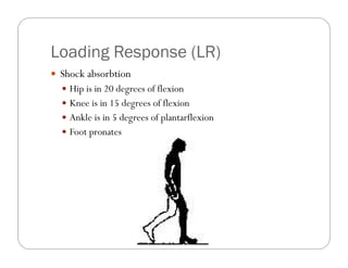 Loading Response (LR)
 Shock absorbtion
   Hip is in 20 degrees of flexion
   Knee is in 15 degrees of flexion
   Ankle is in 5 degrees of plantarflexion
   Foot pronates
 