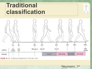 Traditional
classification
Neumann, 1st
 