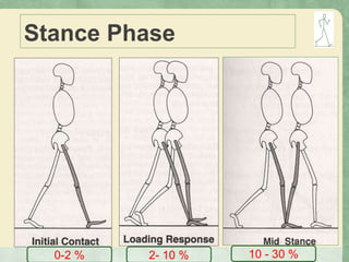 Stance Phase
0-2 % 2- 10 % 10 - 30 %
 