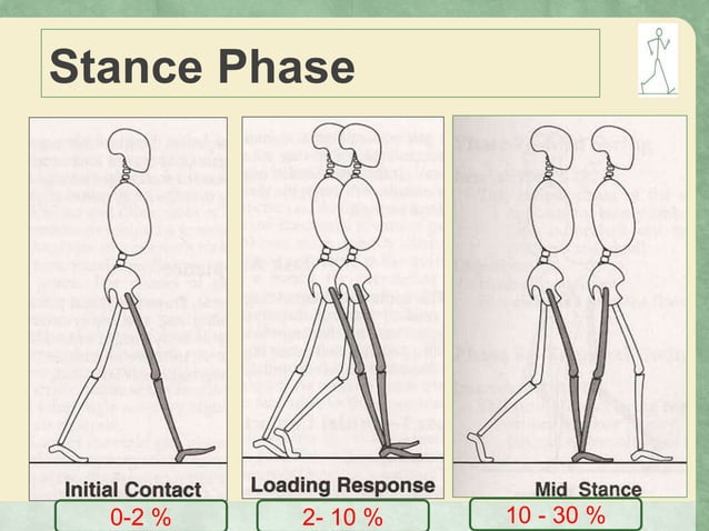 Gait, Phases of Gait, Kinamatics and kinetics of gait | PPTX | Death ...