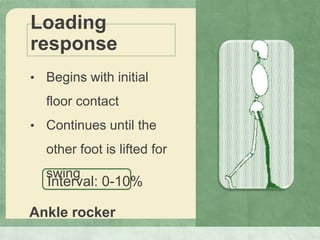 Loading
response
• Begins with initial
floor contact
• Continues until the
other foot is lifted for
swing
Interval: 0-10%
Ankle rocker
 