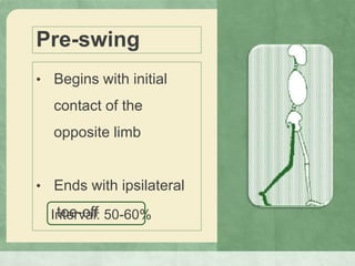Pre-swing
• Begins with initial
contact of the
opposite limb
• Ends with ipsilateral
toe-offInterval: 50-60%
 