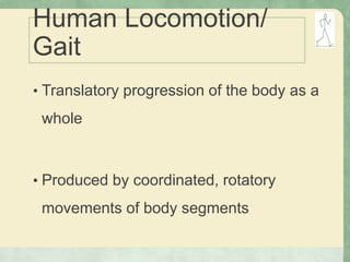 Human Locomotion/
Gait
• Translatory progression of the body as a
whole
• Produced by coordinated, rotatory
movements of body segments
 