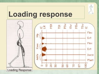 Loading response
 