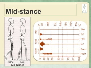 Mid-stance
 