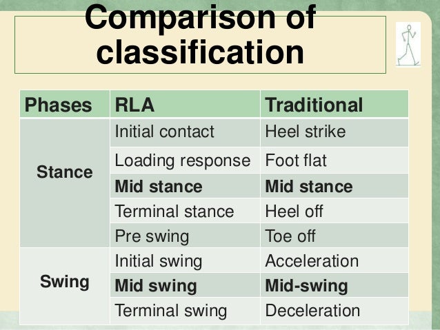 Gait Phases Of Gait Kinamatics And Kinetics Of Gait