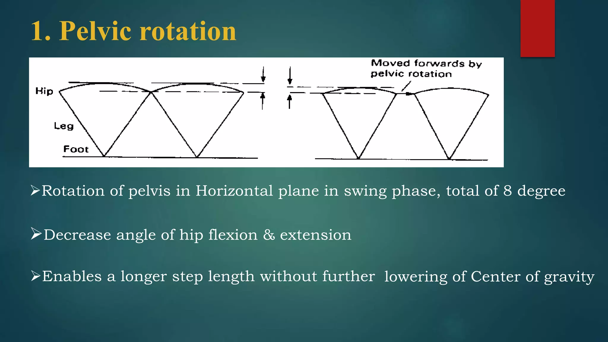 Gait and its abnormalities | PPTX