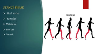 STANCE PHASE
 Heel strike
 Foot flat
 Midstance
 Heel off
 Toe off
 