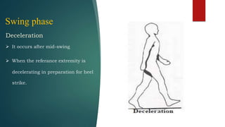 Swing phase
Deceleration
 It occurs after mid-swing
 When the referance extremity is
decelerating in preparation for heel
strike.
 