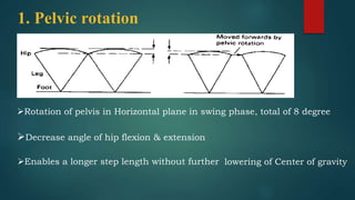 1. Pelvic rotation
Rotation of pelvis in Horizontal plane in swing phase, total of 8 degree
Decrease angle of hip flexion & extension
Enables a longer step length without further lowering of Center of gravity
 