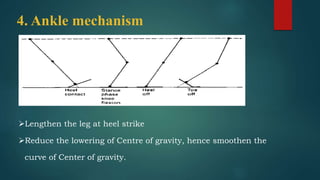 4. Ankle mechanism
Lengthen the leg at heel strike
Reduce the lowering of Centre of gravity, hence smoothen the
curve of Center of gravity.
 