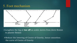 5. Foot mechanism
Lengthen the leg at toe off as ankle moves from dorsi flexion
to planter flexion
Reduce the lowering of Centre of Gravity, hence smoothen
the curve of Centre of Gravity
 