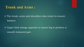 Trunk and Arms :
 The trunk, arms and shoulders also rotate to ensure
balance
 Upper limb swings opposite to stance leg to produce a
smooth balanced gait.
 