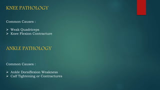 KNEE PATHOLOGY
Common Causes :
 Weak Quadriceps
 Knee Flexion Contracture
ANKLE PATHOLOGY
Common Causes :
 Ankle Dorsiflexion Weakness
 Calf Tightening or Contractures
 