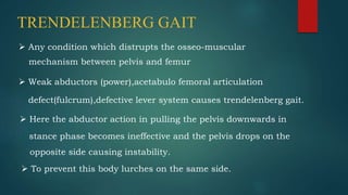 TRENDELENBERG GAIT
 Any condition which distrupts the osseo-muscular
mechanism between pelvis and femur
 Weak abductors (power),acetabulo femoral articulation
defect(fulcrum),defective lever system causes trendelenberg gait.
 Here the abductor action in pulling the pelvis downwards in
stance phase becomes ineffective and the pelvis drops on the
opposite side causing instability.
 To prevent this body lurches on the same side.
 