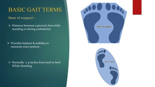 BASIC GAIT TERMS
Base of support :
 Distance between a person’s feet while
standing or during ambulation
 Provides balance & stability to
maintain erect posture .
 Normally 2-4 inches from heel to heel
While Standing .
 
