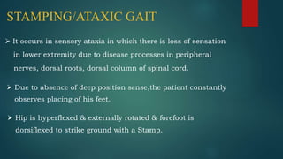 STAMPING/ATAXIC GAIT
 It occurs in sensory ataxia in which there is loss of sensation
in lower extremity due to disease processes in peripheral
nerves, dorsal roots, dorsal column of spinal cord.
 Due to absence of deep position sense,the patient constantly
observes placing of his feet.
 Hip is hyperflexed & externally rotated & forefoot is
dorsiflexed to strike ground with a Stamp.
 