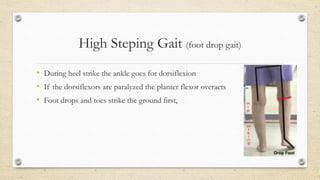 Abnormal Gait | PPTX