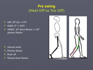 Human Gait & itsphases Biomechanics pptx | PPTX