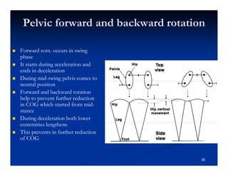 Pelvic forward and backward rotation
Forward rotn. occurs in swing
phase
It starts during acceleration and
ends in deceleration
During mid-swing pelvis comes to
neutral position
Forward and backward rotation
help to prevent further reduction
in COG which started from mid-
stance
During deceleration both lower
extremities lengthens
This prevents in further reduction
of COG
35
 