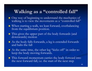 Walking as a “controlled fall”
One way of beginning to understand the mechanics of
walking is to view the movements as a “controlled fall”
When starting a walk, we lean forward, overbalancing
from the equilibrium position.
This gives the upper part of the body forwards (and
downwards) motion
As the body falls forwards, a leg is extended forwards
and halts the fall
At the same time, the other leg “kicks off” in order to
keep the body moving forwards.
This forward momentum carries the body forward into
the next forward fall, i.e. the start of the next step
45
 