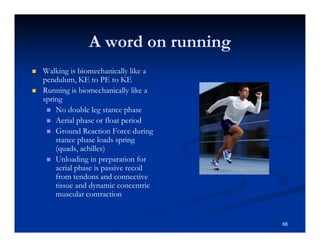 A word on running
Walking is biomechanically like a
pendulum, KE to PE to KE
Running is biomechanically like a
spring
No double leg stance phase
Aerial phase or float period
Ground Reaction Force during
stance phase loads spring
(quads, achilles)
Unloading in preparation for
aerial phase is passive recoil
from tendons and connective
tissue and dynamic concentric
muscular contraction
66
 
