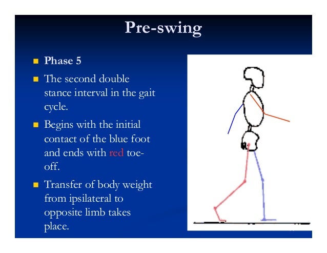 Gait Movements That Produce Locomotion