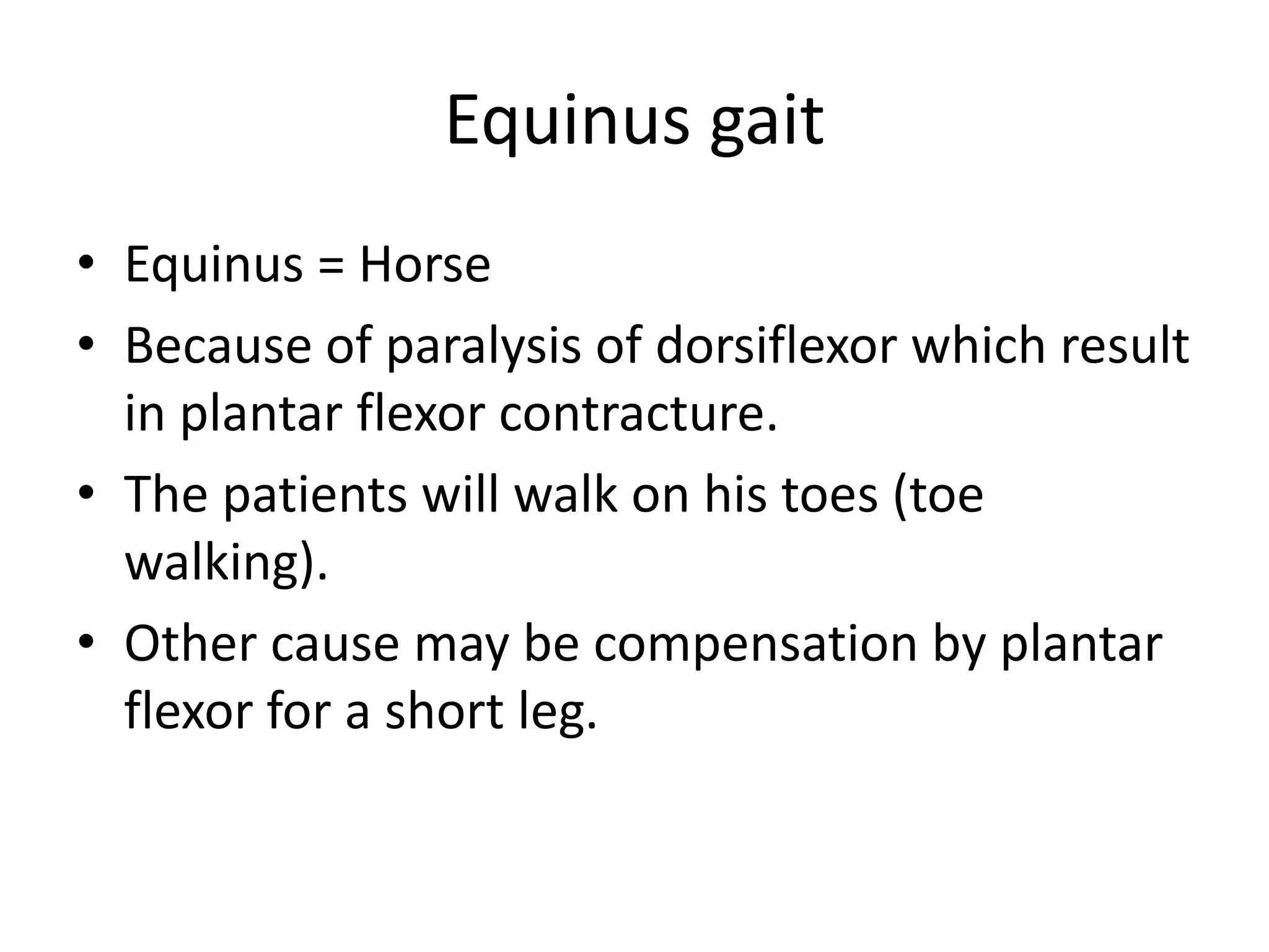 Equinus gait
• Equinus = Horse
• Because of paralysis of dorsiflexor which result
in plantar flexor contracture.
• The patients will walk on his toes (toe
walking).
• Other cause may be compensation by plantar
flexor for a short leg.
 