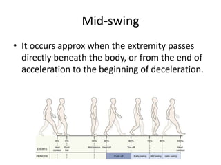 Mid-swing
• It occurs approx when the extremity passes
directly beneath the body, or from the end of
acceleration to the beginning of deceleration.
 