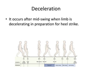 Deceleration
• It occurs after mid-swing when limb is
decelerating in preparation for heel strike.
 