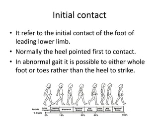 Initial contact
• It refer to the initial contact of the foot of
leading lower limb.
• Normally the heel pointed first to contact.
• In abnormal gait it is possible to either whole
foot or toes rather than the heel to strike.
 