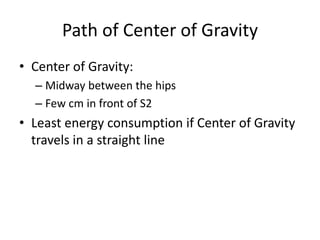 Path of Center of Gravity
• Center of Gravity:
– Midway between the hips
– Few cm in front of S2
• Least energy consumption if Center of Gravity
travels in a straight line
 