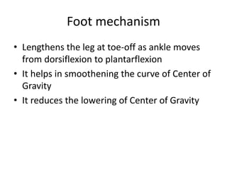 Foot mechanism
• Lengthens the leg at toe-off as ankle moves
from dorsiflexion to plantarflexion
• It helps in smoothening the curve of Center of
Gravity
• It reduces the lowering of Center of Gravity
 