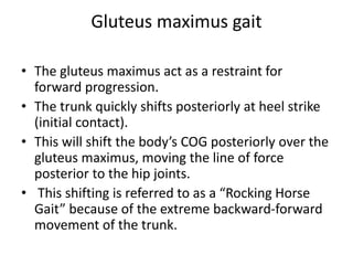 Gluteus maximus gait
• The gluteus maximus act as a restraint for
forward progression.
• The trunk quickly shifts posteriorly at heel strike
(initial contact).
• This will shift the body’s COG posteriorly over the
gluteus maximus, moving the line of force
posterior to the hip joints.
• This shifting is referred to as a “Rocking Horse
Gait” because of the extreme backward-forward
movement of the trunk.
 