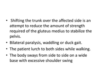• Shifting the trunk over the affected side is an
attempt to reduce the amount of strength
required of the gluteus medius to stabilize the
pelvis.
• Bilateral paralysis, waddling or duck gait.
• The patient lurch to both sides while walking.
• The body sways from side to side on a wide
base with excessive shoulder swing
 