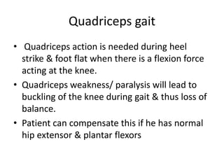 Quadriceps gait
• Quadriceps action is needed during heel
strike & foot flat when there is a flexion force
acting at the knee.
• Quadriceps weakness/ paralysis will lead to
buckling of the knee during gait & thus loss of
balance.
• Patient can compensate this if he has normal
hip extensor & plantar flexors
 