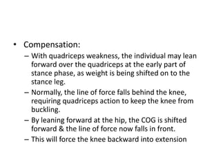 • Compensation:
– With quadriceps weakness, the individual may lean
forward over the quadriceps at the early part of
stance phase, as weight is being shifted on to the
stance leg.
– Normally, the line of force falls behind the knee,
requiring quadriceps action to keep the knee from
buckling.
– By leaning forward at the hip, the COG is shifted
forward & the line of force now falls in front.
– This will force the knee backward into extension
 