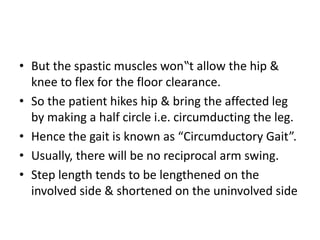 • But the spastic muscles won‟t allow the hip &
knee to flex for the floor clearance.
• So the patient hikes hip & bring the affected leg
by making a half circle i.e. circumducting the leg.
• Hence the gait is known as “Circumductory Gait”.
• Usually, there will be no reciprocal arm swing.
• Step length tends to be lengthened on the
involved side & shortened on the uninvolved side
 