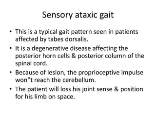 Sensory ataxic gait
• This is a typical gait pattern seen in patients
affected by tabes dorsalis.
• It is a degenerative disease affecting the
posterior horn cells & posterior column of the
spinal cord.
• Because of lesion, the proprioceptive impulse
won‟t reach the cerebellum.
• The patient will loss his joint sense & position
for his limb on space.
 