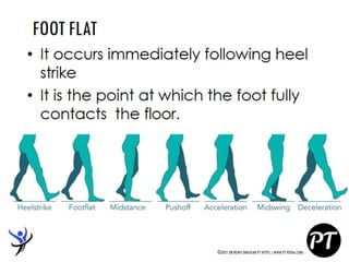 Gait Cycle - Phases & Analysis - Dr Rohit Bhaskar