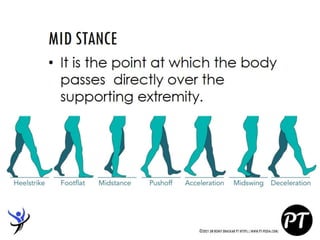 Gait Cycle - Phases & Analysis - Dr Rohit Bhaskar